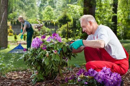 Team discussion in garden during an investigation of service issues