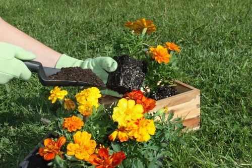 Sustainable landscaping practices in Putney