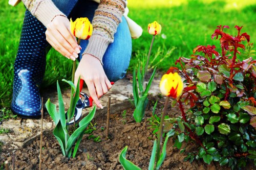 Sustainable gardening practices in Putney