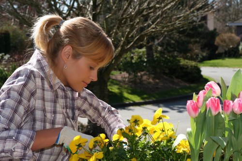 Local gardeners working on a community garden